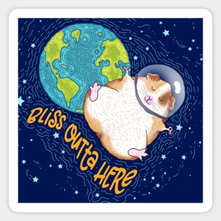 Cosmic Space Guinea Pig Bliss Outta Here Sticker